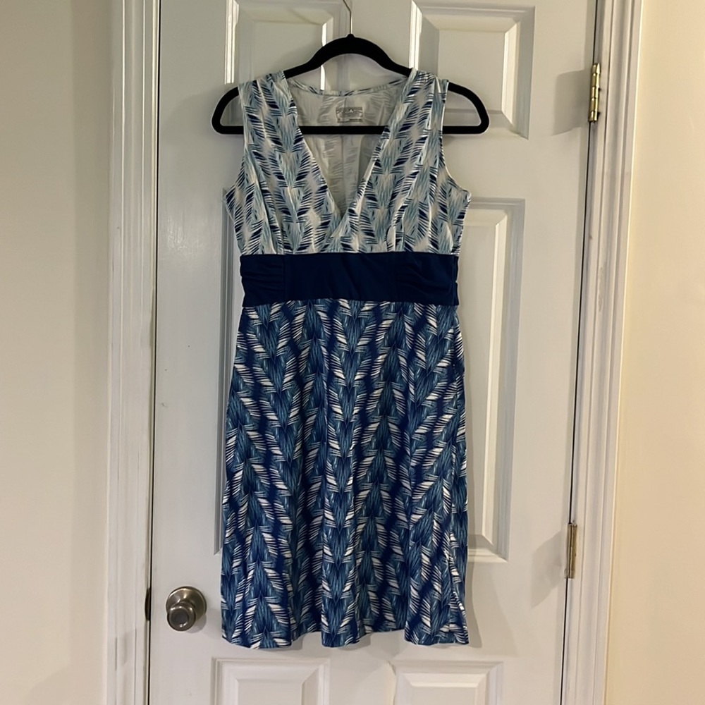 Patagonia Blue Foliage Dress